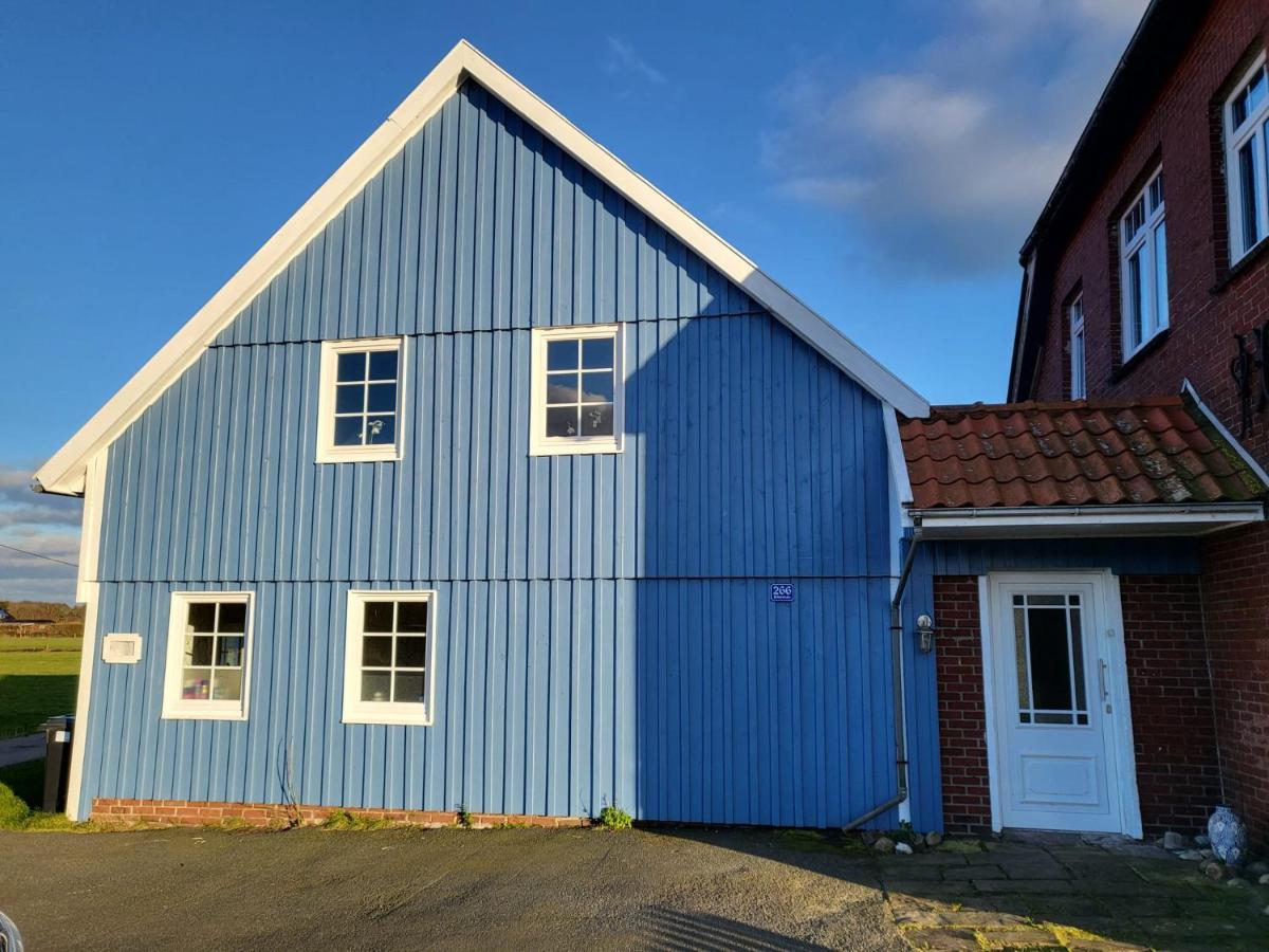Urlaub Im Blauen Haus Apartment Sehestedt  Bagian luar foto